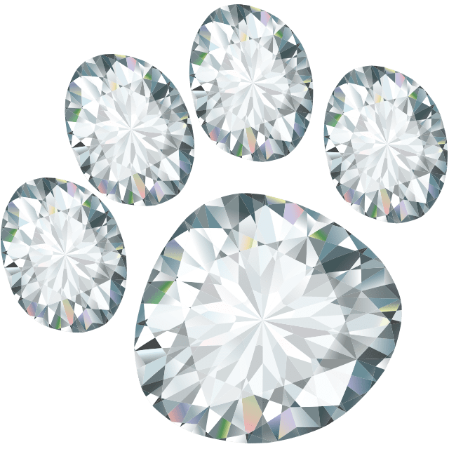 Diamond in the Ruff Mobile Pet Salon